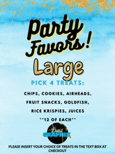 Load image into Gallery viewer, Large Party Favor Package